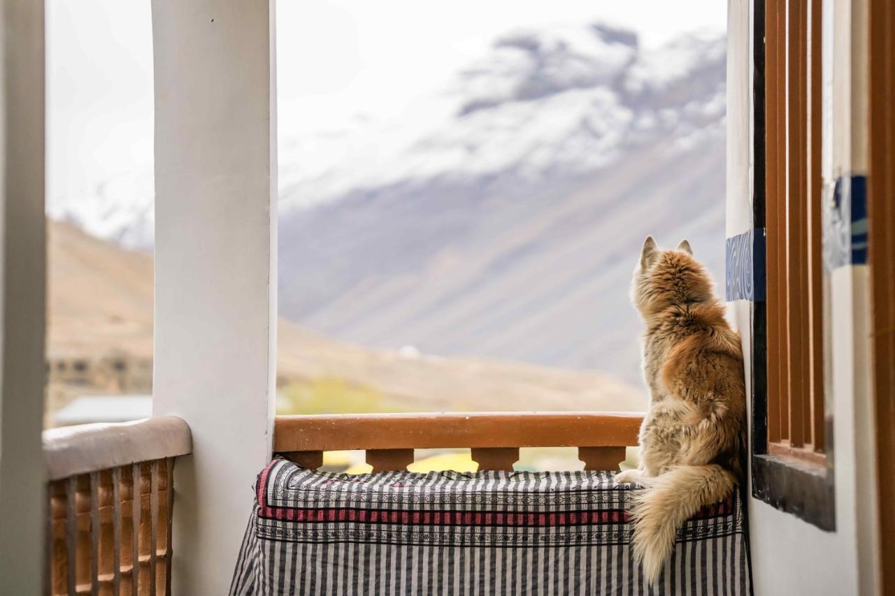 Zostel Spiti Hostel Kaza Exterior foto